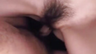 花輪かにんと猫のファックの官能的なシーン 花輪かにんと猫のファックの官能的なシーン