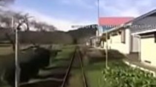 JAPお母さんの娘の家のM80の潜水艦を保ちます JAPお母さんの娘の家のM80の潜水艦を保ちます