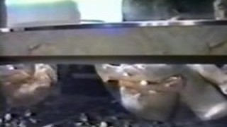 夫婦生活 ラブホテル 夫婦生活 ラブホテル