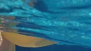 スレンダーな巨乳美女のイメージ無料エロ動画!【美女動画】 スレンダーな巨乳美女のイメージ無料エロ動画!【美女動画】