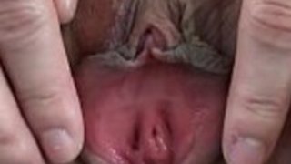 日本hoが猫を広げ 日本hoが猫を広げ