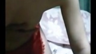 日本の奴隷犬 日本の奴隷犬