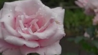 小泉 - 無料ポルノビデオ 小泉 - 無料ポルノビデオ