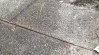 ヘアリープッシーアジアおしっこ ヘアリープッシーアジアおしっこ