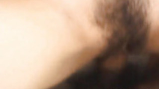 くるみ片瀬は、振動子とshlonで励起毛深い猫を持っています くるみ片瀬は、振動子とshlonで励起毛深い猫を持っています