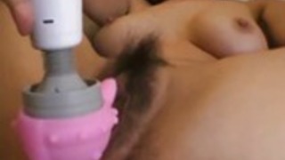 大きな猫と日本 大きな猫と日本