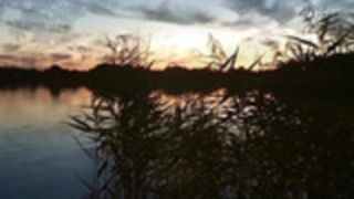 オランダの熟女は、屋外輪姦点滅し、ドッギング オランダの熟女は、屋外輪姦点滅し、ドッギング