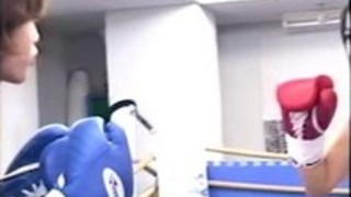 日本ボクシング8 日本ボクシング8