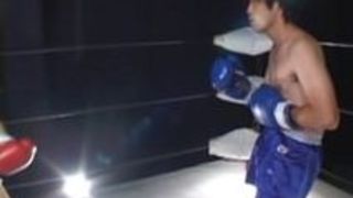 日本の混合ボクシングセックス 日本の混合ボクシングセックス