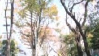 しおりうたは彼女の女に過酷な刺激のために懇願します