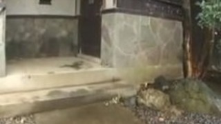 zfemeybxex zfemeybxex