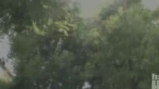 ficcobhecs ficcobhecs