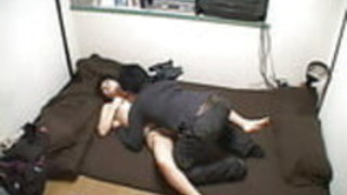 カエデ1 カエデ1