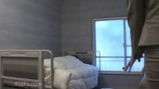 アマゾンAgastiaレッドアイズ アマゾンAgastiaレッドアイズ