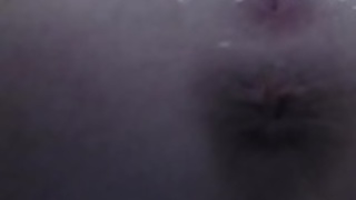 私の猫を伸ばし 私の猫を伸ばし