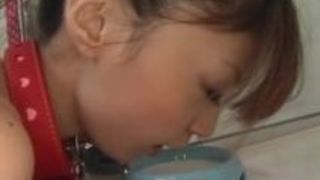 夢今野才能アジアの熟女しゃぶりコックとディルドクソ前 夢今野才能アジアの熟女しゃぶりコックとディルドクソ前