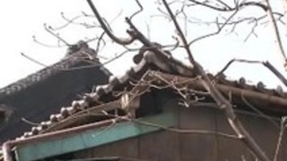 ≪熟女≫若いチンポに夢中で人目にも・・・・ ≪熟女≫若いチンポに夢中で人目にも・・・・