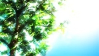 愛の季節 愛の季節