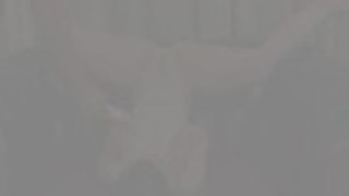 jappanese猫 jappanese猫