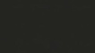 xRCarqpN01 xRCarqpN01