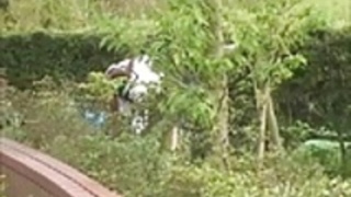 キャンパスの女の子服変容 キャンパスの女の子服変容