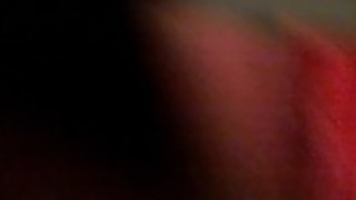 CBR954RRアジア2 CBR954RRアジア2