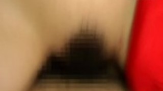 リトルオリエンタルホ兼覆われて リトルオリエンタルホ兼覆われて