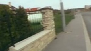 公共恥ポルノ 公共恥ポルノ