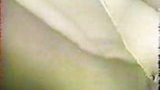 日本のヴィンテージ1 日本のヴィンテージ1