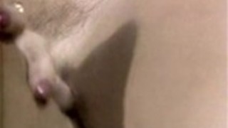 ジンジャー・リン・アレン、ティファニーブレイク、古典的なポルノシーンでトムバイロン ジンジャー・リン・アレン、ティファニーブレイク、古典的なポルノシーンでトムバイロン