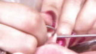 セレモニー セレモニー