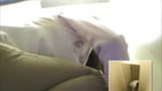 女の子ユニフォーム・チェンベロム・ショーツ 女の子ユニフォーム・チェンベロム・ショーツ