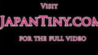 ふわふわの日本の花屋の女の子毛深い猫が打たれた ふわふわの日本の花屋の女の子毛深い猫が打たれた