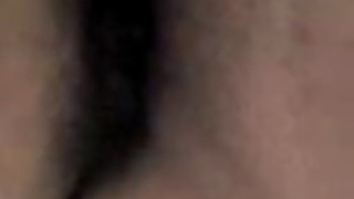 インドネシア - ceweアチェ インドネシア - ceweアチェ