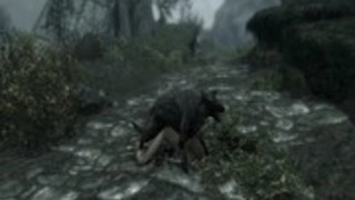 盗賊の束によって捕獲 盗賊の束によって捕獲