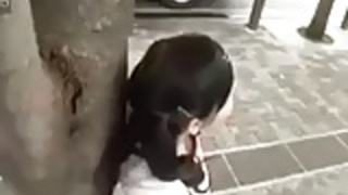 ticcyai rorikei bisyouzyo ticcyai rorikei bisyouzyo