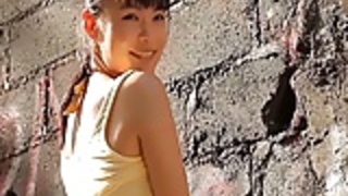 日本のソフトコア231 日本のソフトコア231