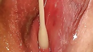 Qティップ Qティップ