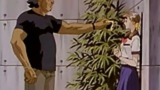 黄色の星 黄色の星