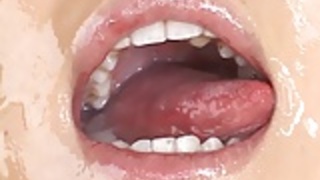 伝統的な日本食 伝統的な日本食