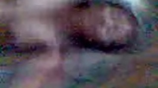 マレーisteri STIM マレーisteri STIM