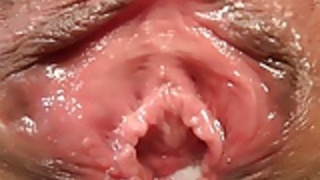 ベジタリアン ベジタリアン