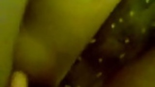 マレーawek gersang マレーawek gersang