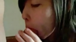 私のセックスレディ 私のセックスレディ