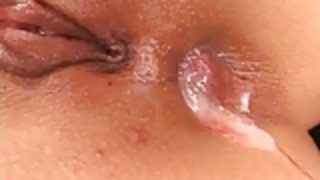 DPと日本製クリームパイ DPと日本製クリームパイ