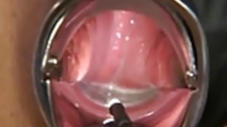 コスプレバトル コスプレバトル