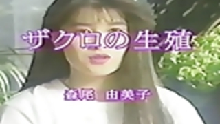 由美子森尾 - 日本の美人 由美子森尾 - 日本の美人