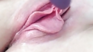 午後のホヤ 午後のホヤ