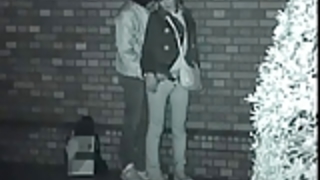 外で愛を作るカップル 外で愛を作るカップル