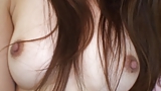 日本の猫の演劇21 日本の猫の演劇21